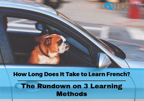 How long will it take me to learn japanese? is typically top of mind if you have a trip to tokyo coming up, or if you've always wanted to watch your favorite learning any new language is a journey. How Long Does It Take to Learn French? The Rundown on 3 ...