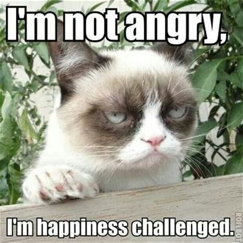 Love This Describes Me In Morning Lol Grumpy Cat Meme Funny Grumpy