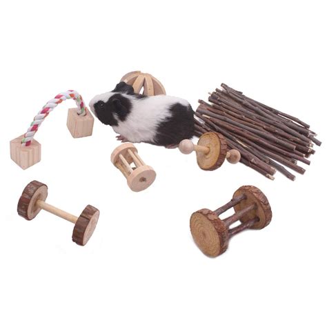 Guinea Pig Chew Toys Amazon Adinaporter