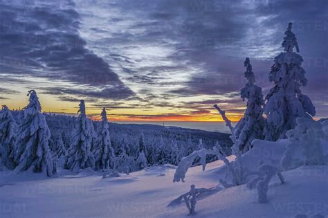 Germany Lower Saxony Harz National Park Winter Landscape At Sunset