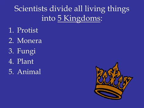 Ppt Five Kingdoms Of Living Things Powerpoint Presentation Free
