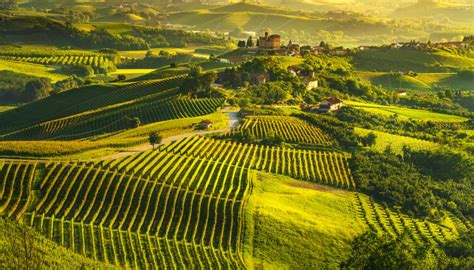 Everything You Need To Know About Italian Wine A World Of Food And Drink