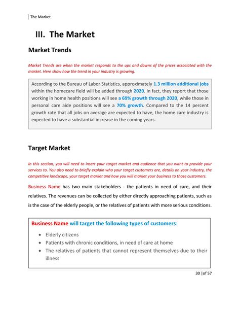 Health Care Business Plan Template