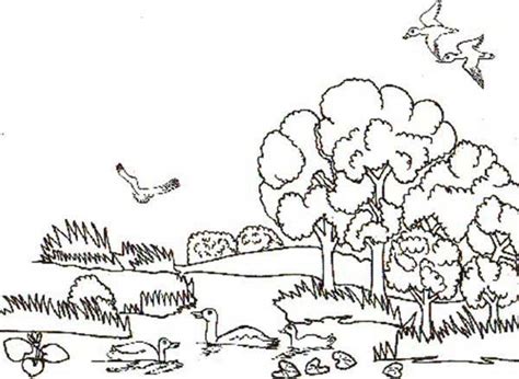 Animal Habitats Landscapes Coloring Pages Coloring Pages