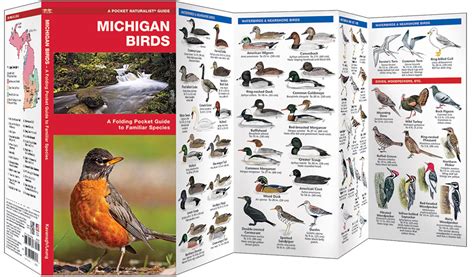 Michigan Birds Pocket Naturalist® Guide