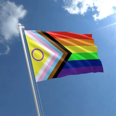 Intersex Pride Flag 5ft X 3ft Rainbow Gay Inclusive Flags With Eyelets Lgbtqia £349 Picclick Uk