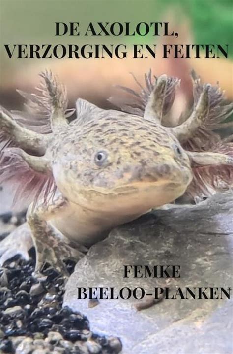 De Axolotl Verzorging En Feiten Femke Beeloo Planken Paperback