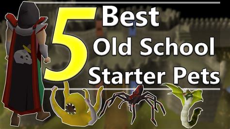 Explore the world, explore its secrets, slay the most. 5 Best Pet Options For First Time Pet Hunters In Old ...