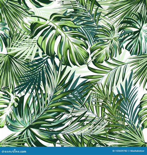 Seamless Pattern Of Tropical Palm Leaves Stock Illustration 538