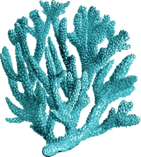 Ftestickers Ocean Sea Coral Blue Sticker By Pann70