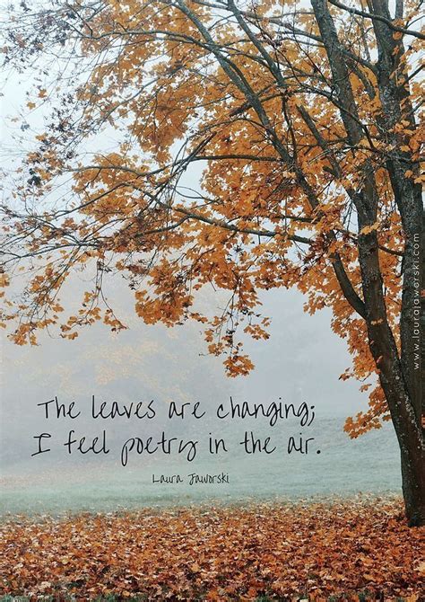 Pin By Patricia Martin On Landscape Autumn Quotes Nature Inspiration
