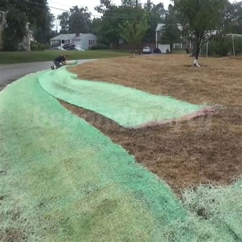 Place it close to your plant pot. Roll, Water & Grow!💪 The best way to plant a lawn in 2020 ...