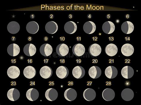 Calendário Da Lua 2023 Hemisfério Sul Ilustração Stock Ilustração De