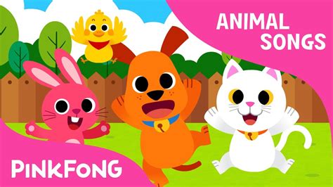 See more ideas about songs, kids songs, preschool songs. Baby Animals | Animal Songs | Pinkfong Songs for Children ...