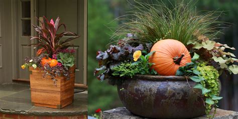 Bakers Village Garden Center Fabulous Fall Container Gardening Ideas