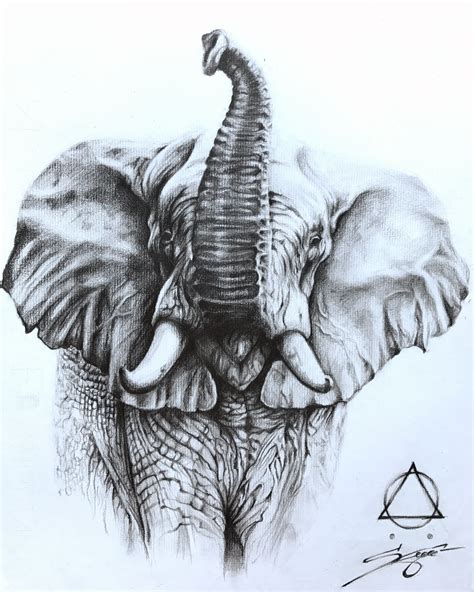 Elephant Drawing Pencil Animals Are Amazing Creatures Elephant