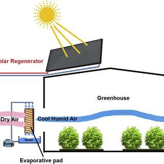 E Schematic Of A Greenhouse Fogging Or Misting System Installation