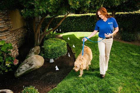 Invisible Fence Cost Protect Your Pet With Boundary Plus Technology
