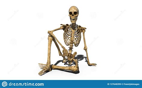 Funny Skeleton Sitting On Ground And Smiling Human Skeleton Isolated