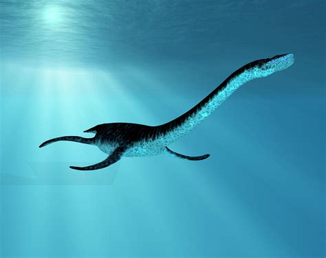 Plesiosaurus Dinosaur Photograph By Friedrich Saurer Pixels
