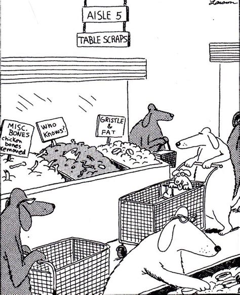 202 Best Images About The Far Side On Pinterest