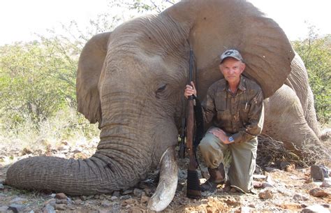 Petition Stop Plan To Allow Brutal Elephant Tropy Hunting In Botswana