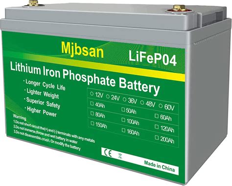 100ah Lithium Batterien 12v Akku Lifepo4 Bms Für Wohnmobil Rv