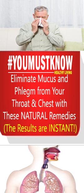 Eliminate Mucus And Phlegm From Your Throat And Chest With These Natural