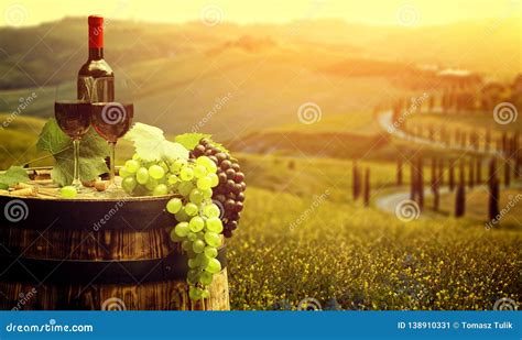 Red Wine With Barrel On Vineyard In Green Tuscany Italy Stock Image