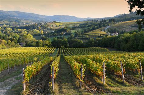 Chianti In The Footsteps Of Da Vinci And Other Famous Italians