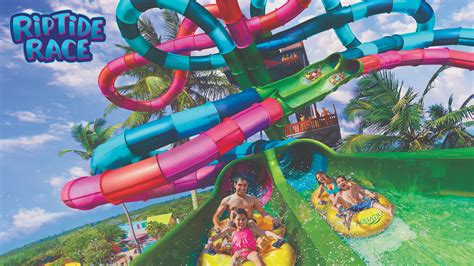 Floridas First Ever Duelling Water Slide Debuts At Aquatica In 2020 Seaworld Parks Travel