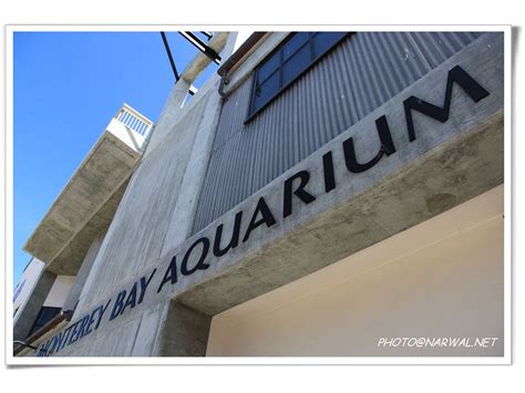 Monterey Bay Aquarium Cannery Row Monterey California 美國 Flickr