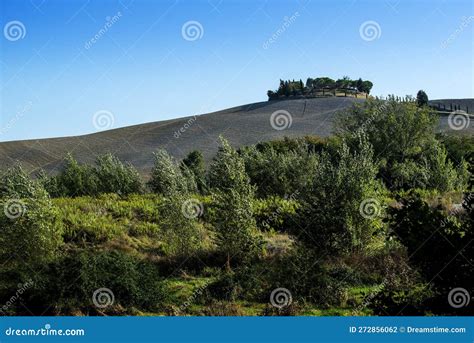 Tuscan Landscape Of The Sienese Hills Stock Photo Image Of Rural