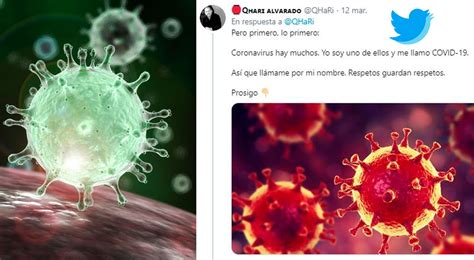 Zola was a natural fit. Twitter viral: Usuario crea hilo de la historia de ...