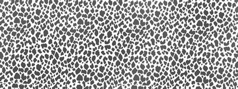 Premium Vector Leopard Pattern White And Black Animal Print