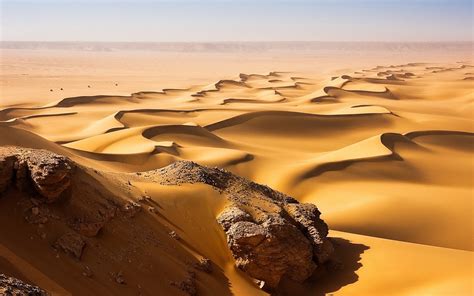 Landscape Sand Desert Dune Sahara Habitat Natural Environment