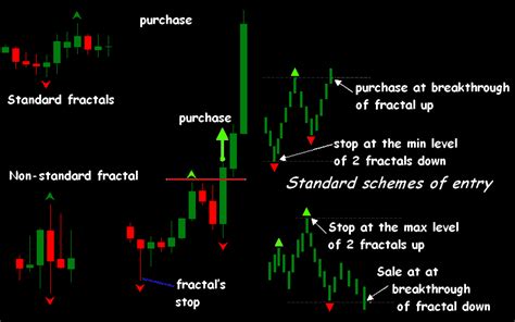 Forex Fractals Strategy How To Use Fractals In Forex Trading