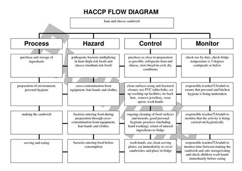 Haccp Food Safety Plan Template Luxury Of Haccp Plan Template Flow
