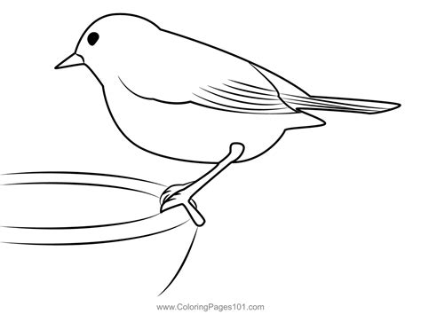Robin Bird Coloring Page For Kids Free Thrushes Printable Coloring