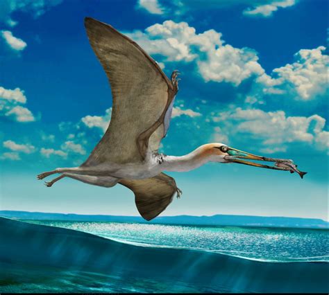 Life Reconstruction Of Gladocephaloideus Jingangshanensis A Pterosaur From The Early Cretaceous