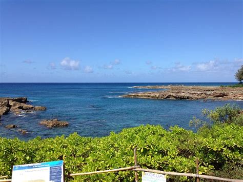 Sharks Cove Pupukea All You Need To Know Before You Go Tripadvisor