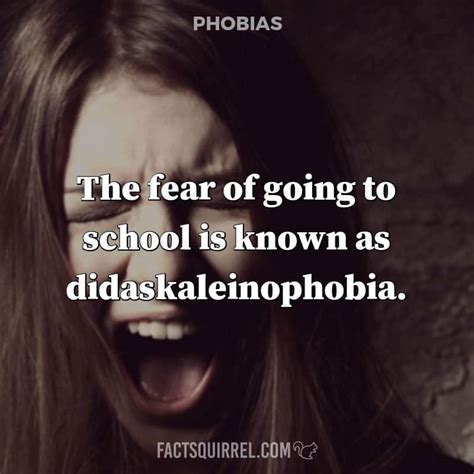 The Fear Of Going To School Is Known As Didaskaleinophobia Fact Squirrel