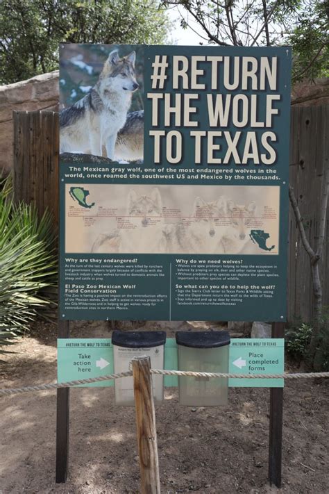 Mexican Wolf Conservation Sign Zoochat
