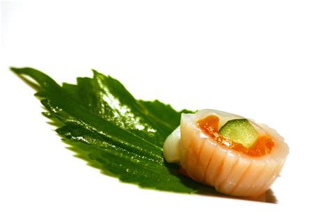 Sashimi Grade Hokkaido Scallops Seafood Connection