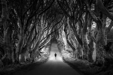 Amazing Black White Landscape Photos That Will Leave You In Awe Photzy