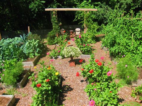 Creating A Raised Bed Garden