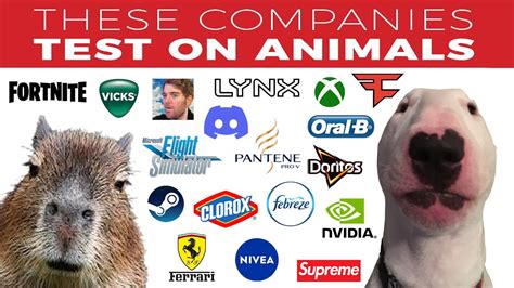 Companies That Test On Animals 😢 Youtube