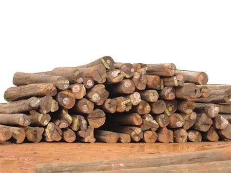 15feet Teak Wood Round Log At Rs 860cubic Feet Teak Wood Logs In Ulhasnagar Id 23786845112