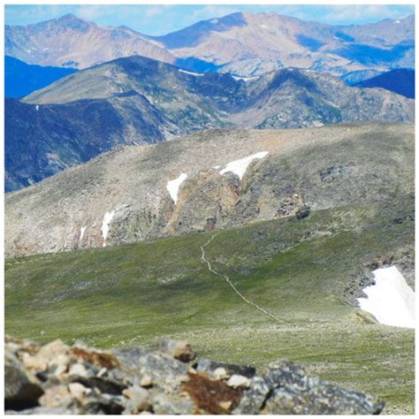 Continental Divide Trail In Rocky Mountain National Park