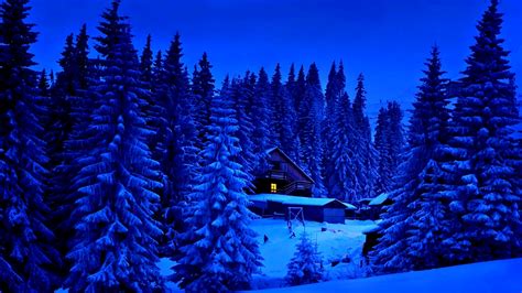 House In Winter Forest